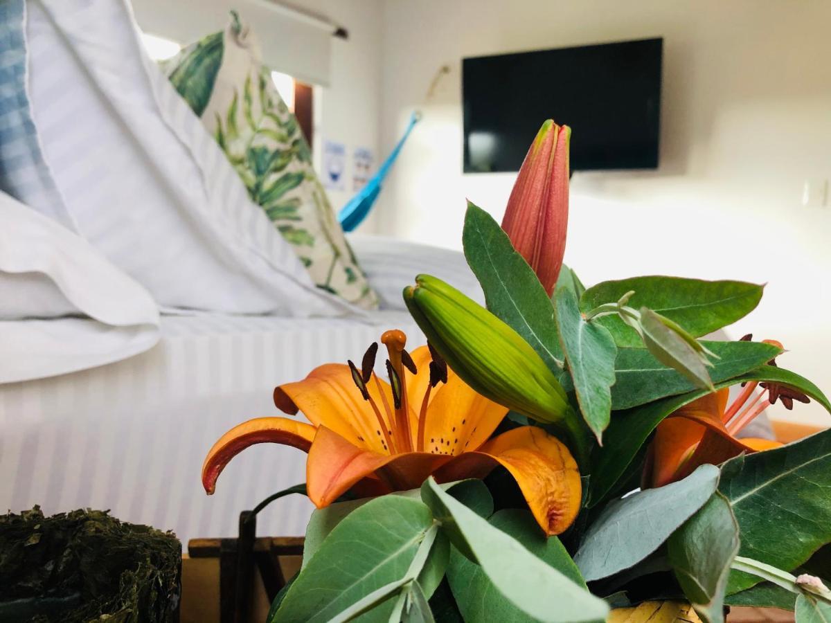 Casa De Las Flores 莱瓦镇 外观 照片